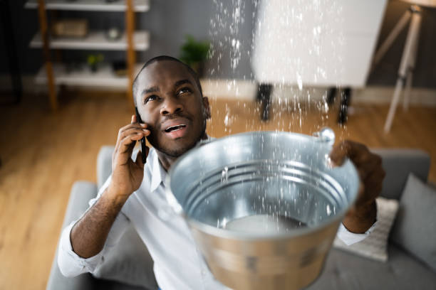 Best Water damage cleanup near me  in Galatia, IL